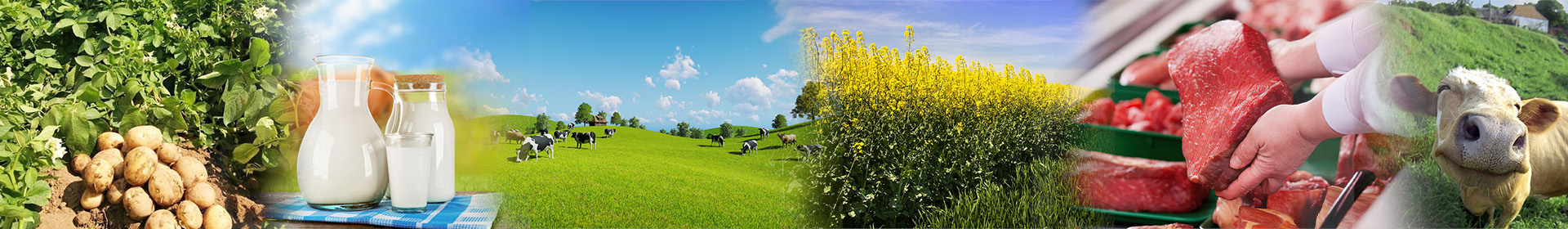 Рубежевичи ОАО